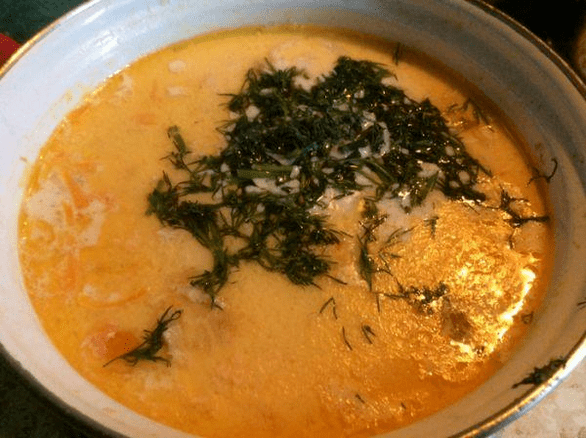 geräucherte Suppe auf Ducan-Diät